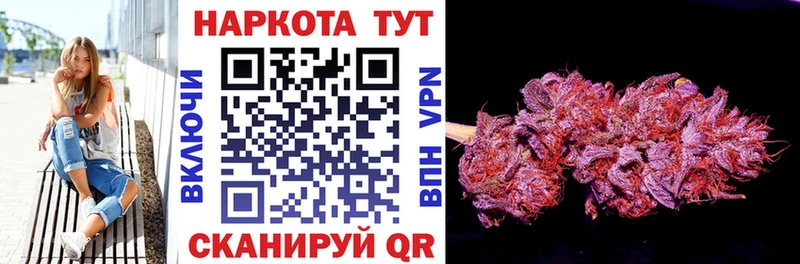 Где продают наркотики Терек Кокаин Марихуана