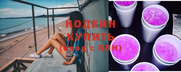 крисы Абаза