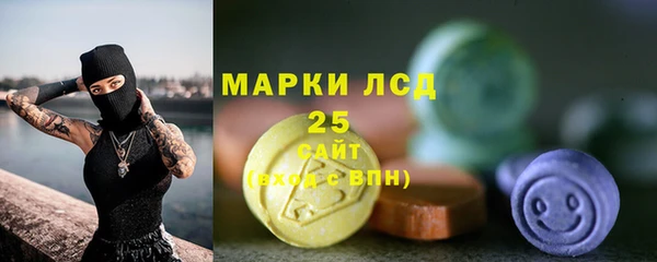 крисы Абаза