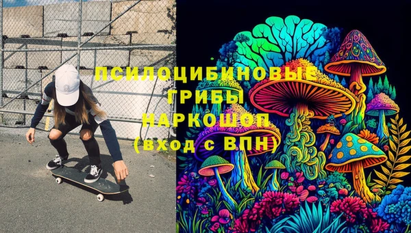 крисы Абаза