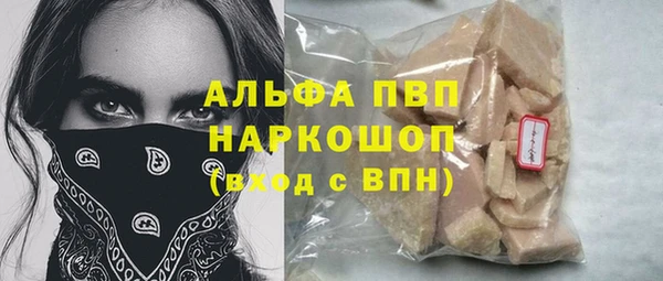 крисы Абаза