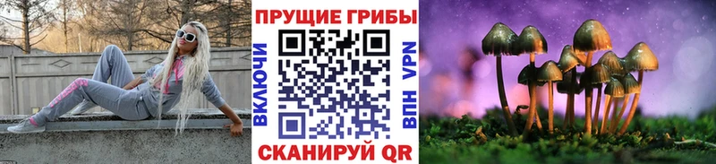 Галлюциногенные грибы прущие грибы  наркотики  Терек 